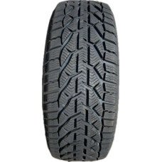 Taurus - Winter - 225/45 R17