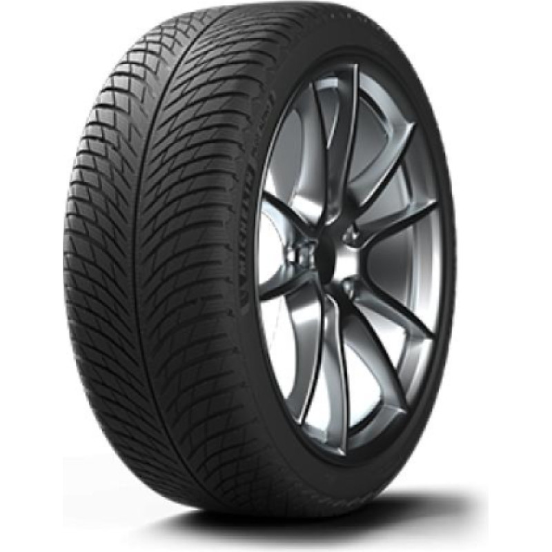 Michelin - Pilot Alpin 5 - 315/30 R21C