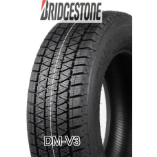 Bridgestone - DM-V3 - 235/55 R20