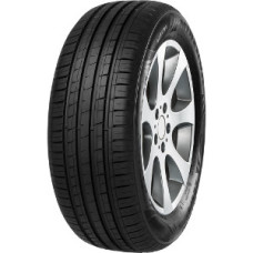 Minerva - F209 - 195/55 R15