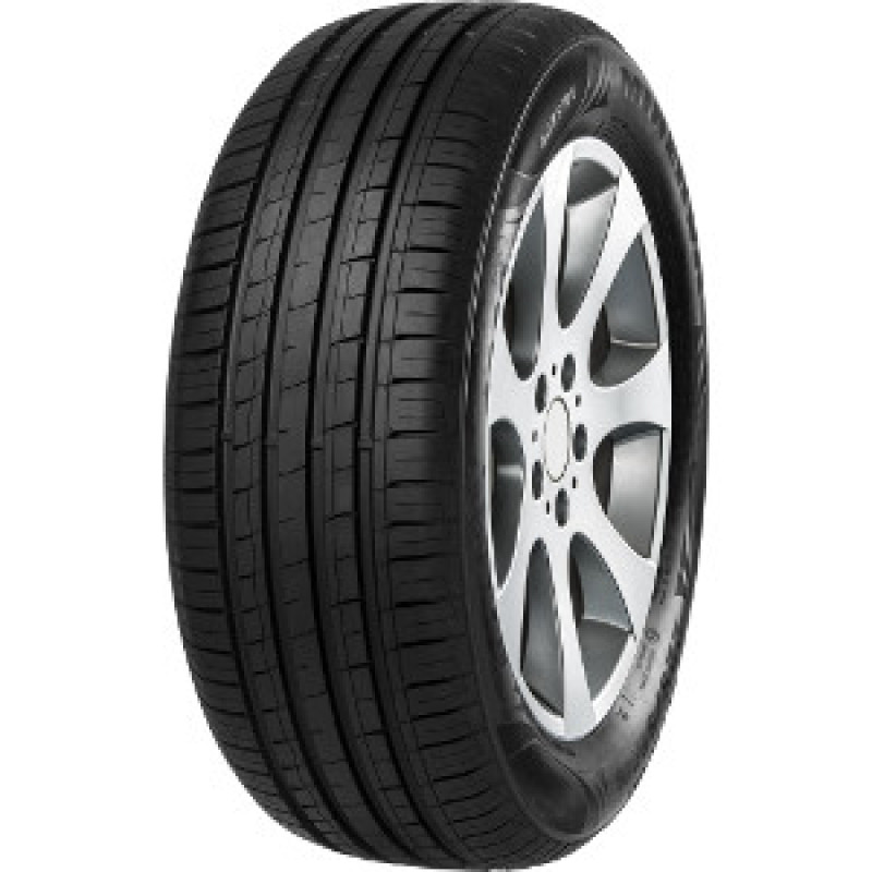 Minerva - F209 - 205/60 R15