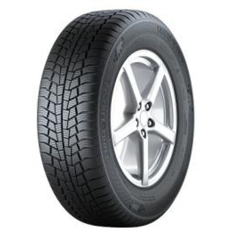 Gislaved - Euro Frost 6 - 205/55 R16