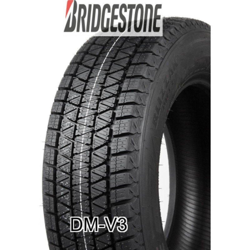 Bridgestone - DM-V3 - 205/70 R15