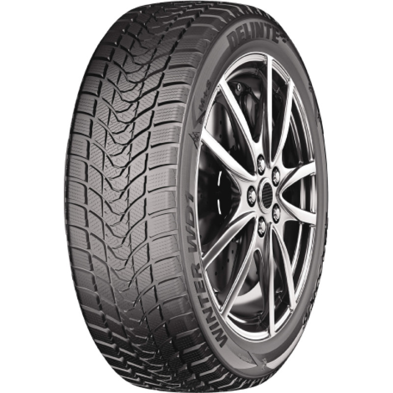 Delinte -   WINTER WD1  - 245/50 R18