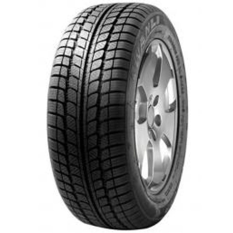 Sunny - SN3830 Snowmaster - 225/55 R19