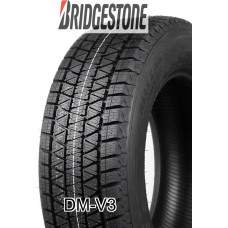 Bridgestone - DM-V3 - 275/40 R21