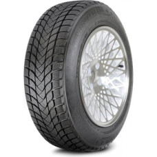 Landsail - Winter Lander (Nordic) - 225/45 R17C